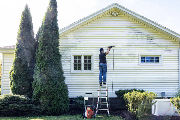 Best Animal Enclosure Cleaning  in Camn, DE